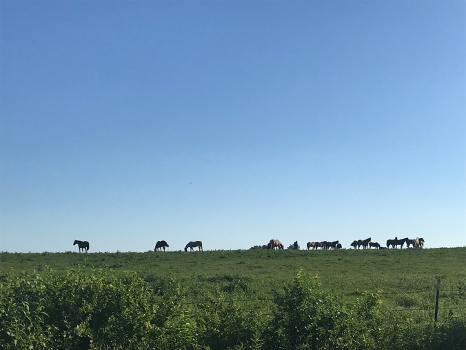 57B6C802-647A-4D1C-BFDA-8153ABEA0D86