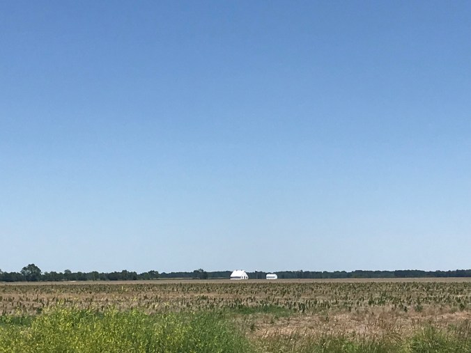 C3073DF5-EFE7-4426-8856-BBD11A9CF90B